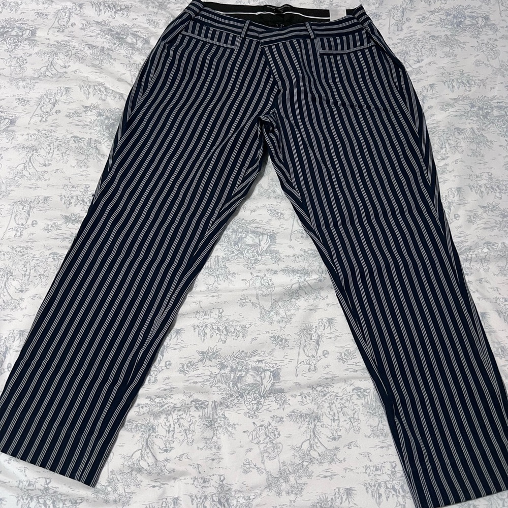 Banana Republic Dark Blue and White Skinny Pants with Pinstripes